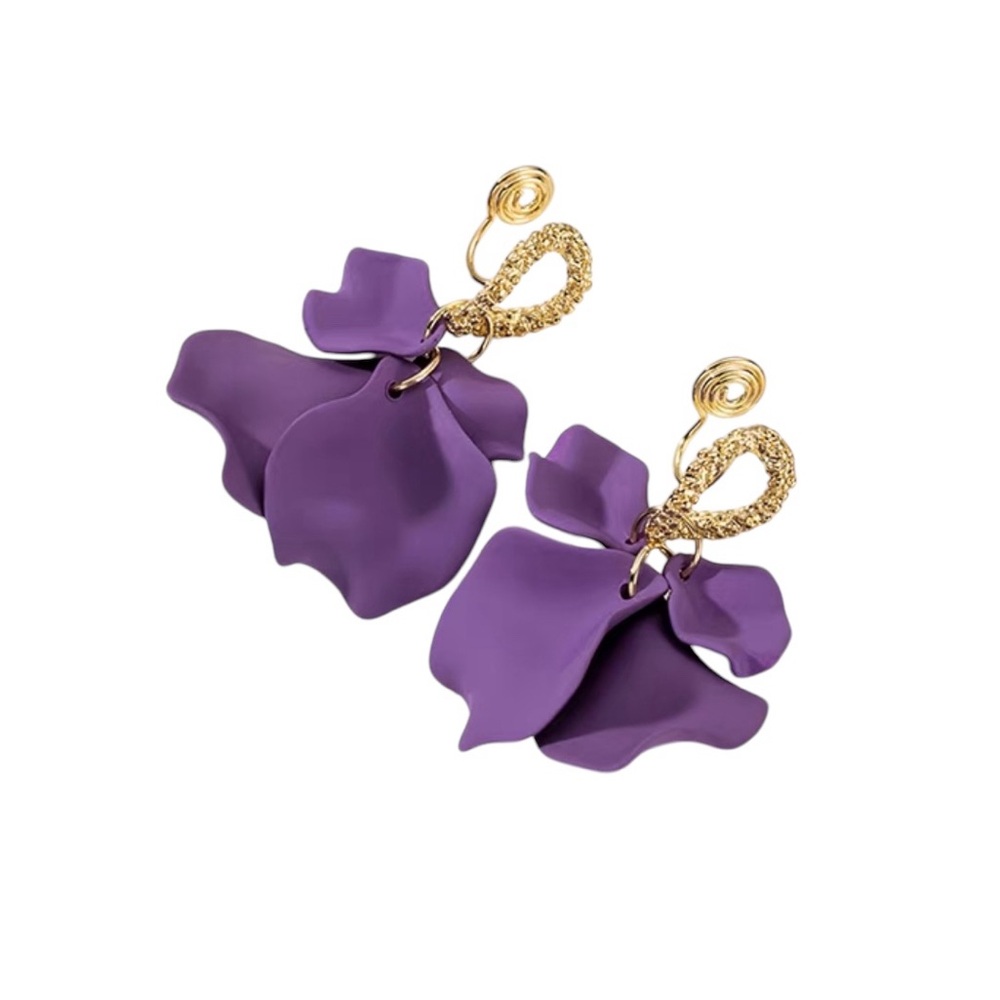 Earrings for People without pierced ears